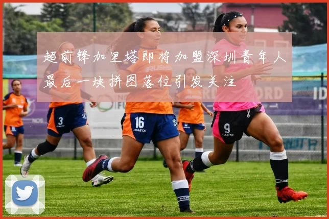 超前锋加里塔即将加盟深圳青年人最后一块拼图落位引发关注
