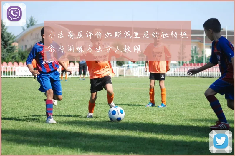 小法高度评价加斯佩里尼的独特理念与训练方法令人钦佩