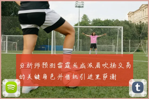 分析师预测雷霆或成浓眉吹杨交易的关键角色并借机引进里萨谢